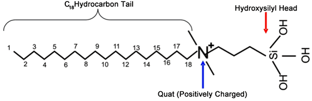 Diagram of Bio-Spear and how the molecules work