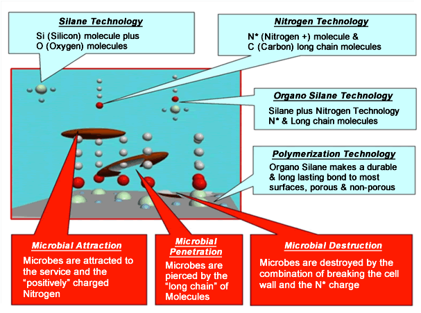 Bio-Spear technology diagram