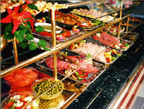 Bio-Spear for use in the food industry to eliminate bacteria and viruses